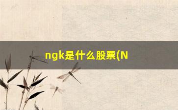 “ngk是什么股票(NGK是什么公司)